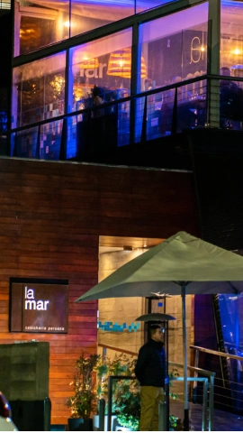 Mobile banner element 1