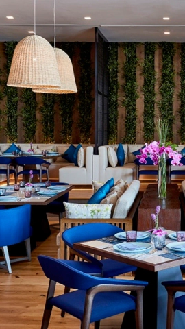 Mobile banner element 0